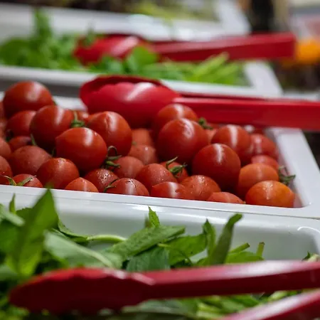 Grand Karot Szálloda Yalova